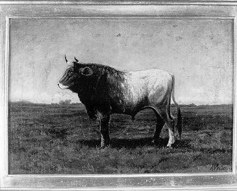 Toro - Mulazzo (MS)